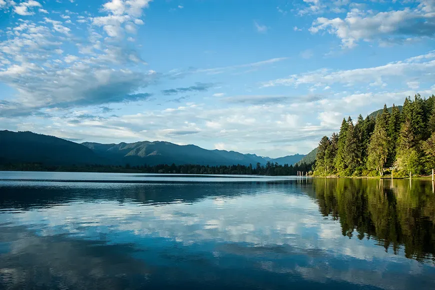 lake quinault washington.